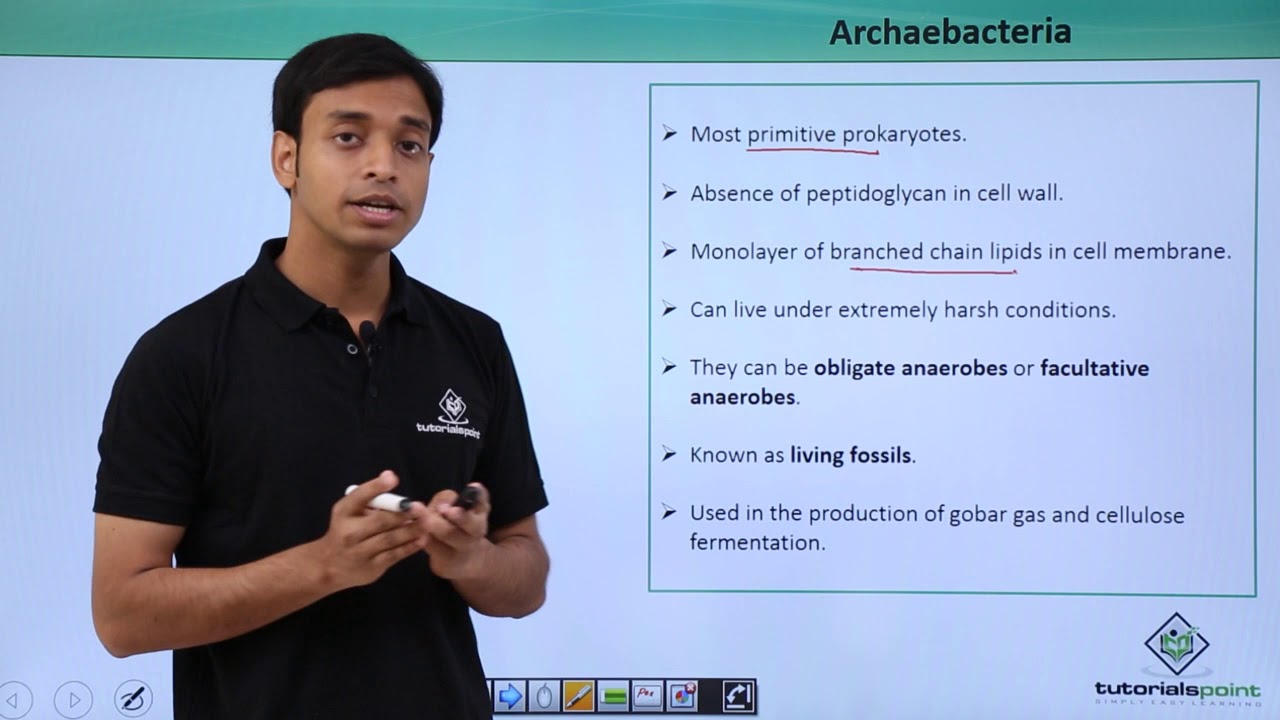 Class 11th – Archaebacteria – Introduction | Biological Classification | Tutorials Point