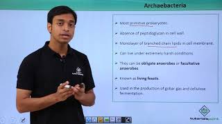 Class 11th – Archaebacteria – Introduction | Biological Classification | Tutorials Point