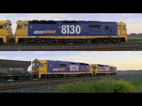 7739V Pacific National Grain Train With 81 Class Diesel Locomotives - PoathTV Australian Railways
