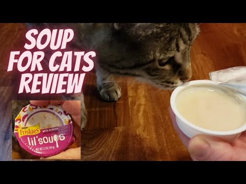 CAT REVIEWS FRISKIES LIL SOUPS | SOUP FOR CATS