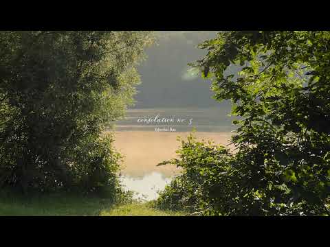 sorry, i was daydreaming (playlist)