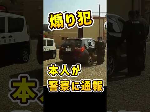 【BMW】煽ってきたから反撃に出ると・・