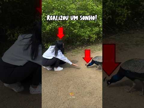 Ela só tinha um sonho🥹😳#curiosidades #shortsfeed #shorts #vixi_maria