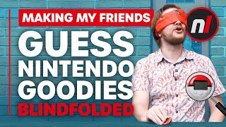 I Blindfolded My Friends And Made Them Guess Random Nintendo Accessories