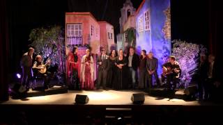 preview picture of video 'festival de fado a ceyrat france'
