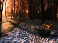 Driving Home for Christmas ~ Lyrics 