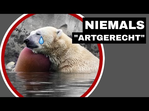 Zoos: Zwischen Artenschutz-Lügen und Doppelmoral