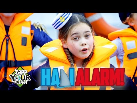 🎵Kinderen voor Kinderen - Haai-alarm! (Officiële Zapp Your Planet videoclip)