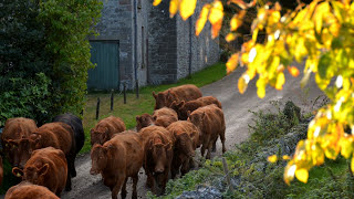 John Jeffreys (1927 - 2010): Serenade for Strings (1959)