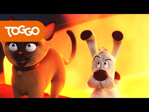 Idefix und die Unbeugsamen | Die Statue des Labienus | Ganze Folge | TOGGO Serien