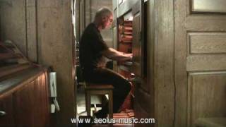 Bach Toccata d minor BWV 913 played by Ewald Kooiman
