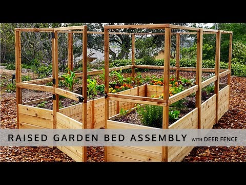 download lagu mp3 mp4 Deer Proof Raised Garden Bed Plans, download lagu Deer Proof Raised Garden Bed Plans gratis, unduh video klip Deer Proof Raised Garden Bed Plans