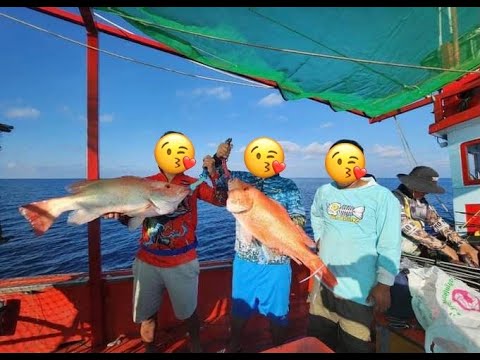 Botum Sakor National Park Video