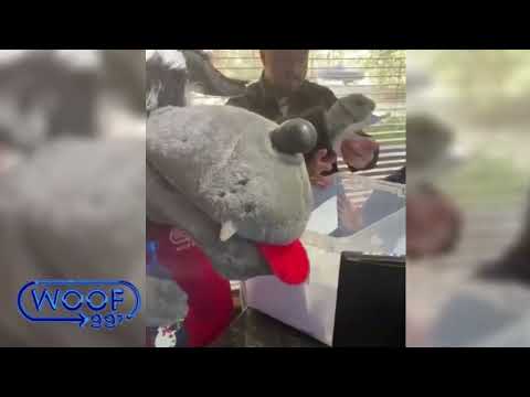 Quentina Peacock of Slocomb just won $10,000 on WOOF FM!