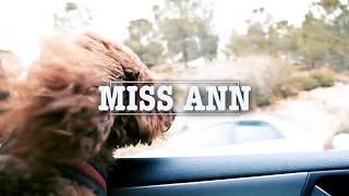 CATBITE - Miss Ann (Little Richard)