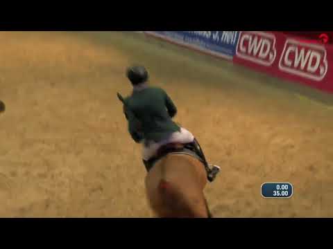 Harm Lahde -  Oak Grove`s Laith - CSI Neustadt-Dosse