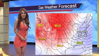 Natural Gas Forecast  -15 Day Weather Forecast