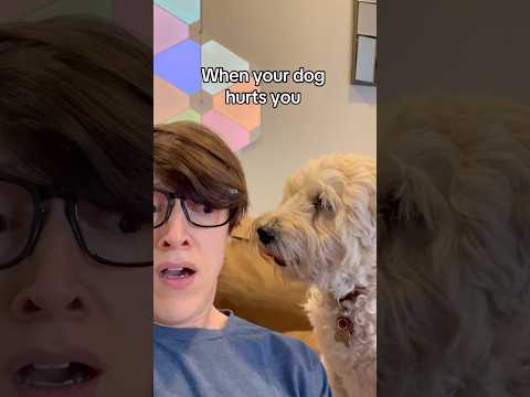 Me vs My Dog: The Pain ​⁠@TheJessiiShow #TheManniiShow.com/series iB​⁠@JesseTheologus