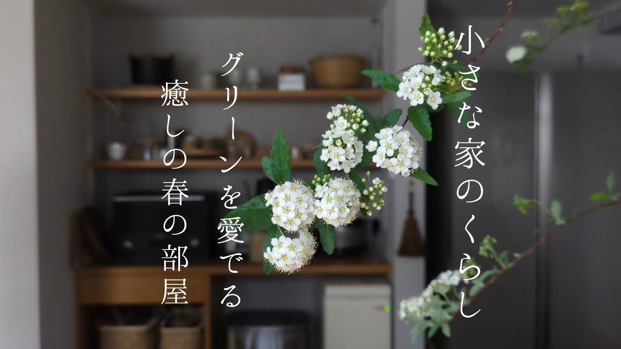 小さな家のくらし｜グリーンのある心地よい春の部屋🌿/今年の手前味噌/運気を呼び込む玄関掃除🧹
