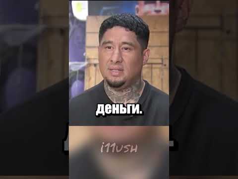 Кота верните