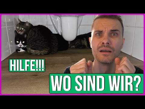 Benny ist endlich wieder zum Vorschein gekommen 😭