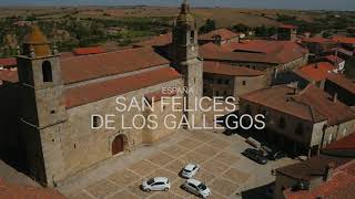 Vídeo Tour Moveletur 2018