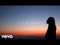 Thirty Seconds To Mars - City Of Angels (Lyric Video)