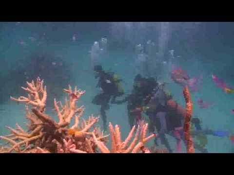 Agincourt Ribbon reef dive