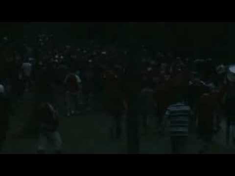 Zamieszki na meczu Motor - Widzew