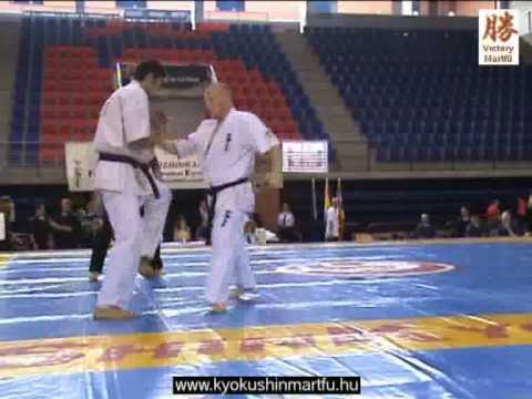2010 Shinkyokushin EC Logrono: Gabor Buzas - Orkhan Mammadov, men 80kg