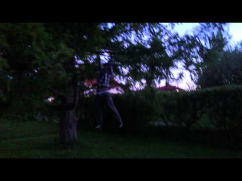 Blomman och Junior goes wild