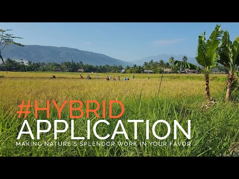 How to: Wood Vinegar (Part 2) - Horizontal Kiln