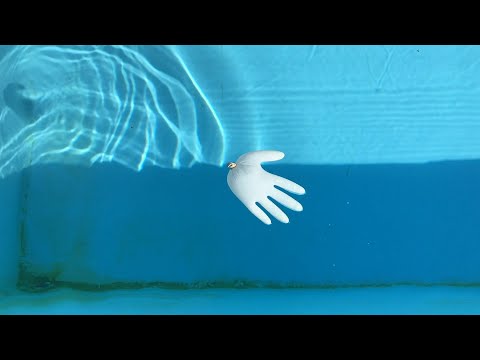 VdR2020 | Carte Blanche | Adèle Shaykhulova | Sans vous, sans moi