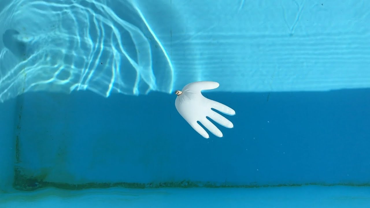 VdR2020 | Carte Blanche | Adèle Shaykhulova | Sans vous, sans moi