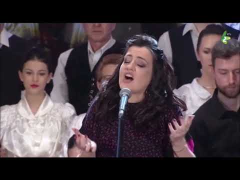 PISNJA KOCURU / ПИСНЯ КОЦУРУ - S. Divljakovič, T. Hodak, M. Timko i D. Mihnjak