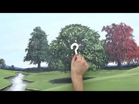 ÖKOLOGISCHE POTENZ | VERTIEFUNGSWISSEN | Biologie | Ökologie