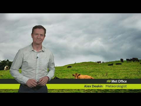 Thursday Morning forecast 29/06/17
