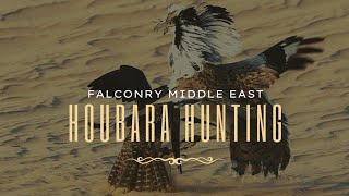 Houbara hunting with a trained falcon in the middle east