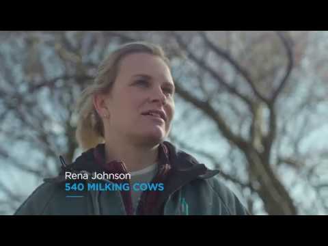 DeLaval Parlor milking system P500 | Parrallel Parlor Milking | DeLaval