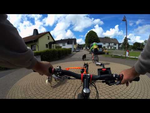 Hier "shepherds": Wenn LAUFHUNDE nicht FREI laufen dürfen...