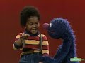 Sesame Street Grover Erik Fur And Skin