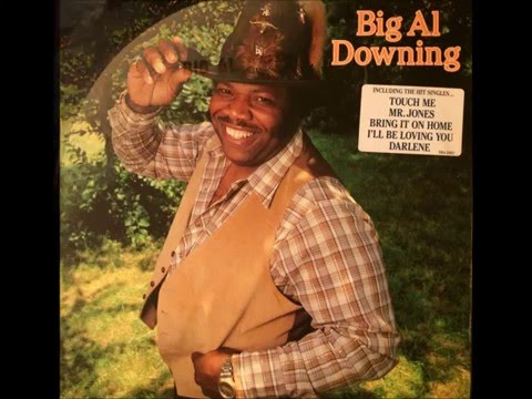 Mr. Jones , Big Al Downing , 1978 Vinyl