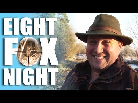 Eight Fox Night Eight Fox Night