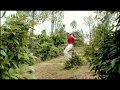 Baand Bhanumati Full Song Baand Bhanumati