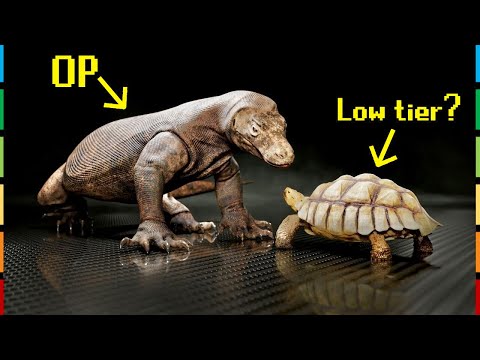 The Reptile Tier List