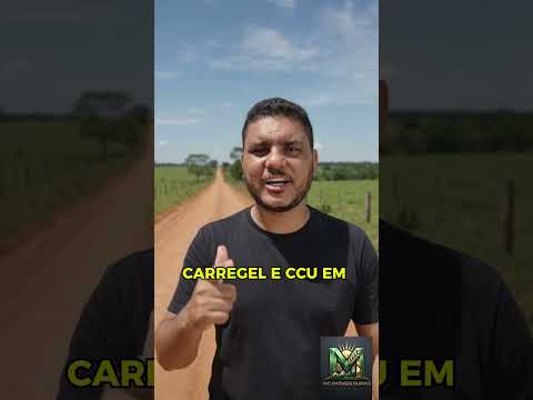 Sítio 34 Alqueires à Venda em Rondônia – Próximo da Cidade e Bom Acesso