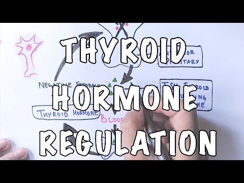 Kumin slimming o thyme Svetlana FUS mga tip para sa pagbaba ng timbang
