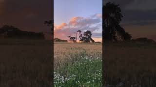 Download lagu Mentahan video aesthetic untuk bahan quotes terbaru, free download mp3