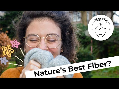 What Are the Benefits of Alpaca Wool? (All the Surprising Features You Should Know)