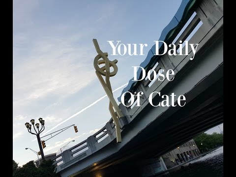 VLOG: 012 We found DUCKLINGS, Mom!!